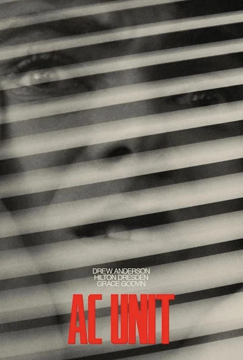 AC Unit poster