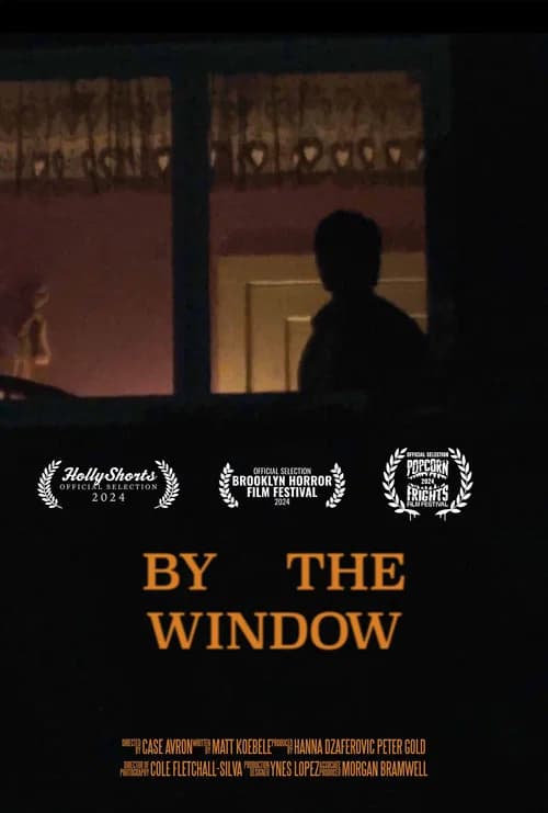 By The Window poster