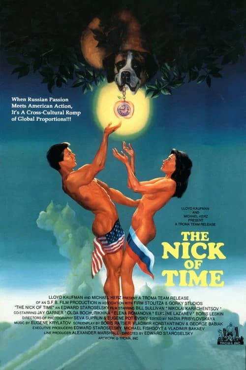 The Nick Of Time poster