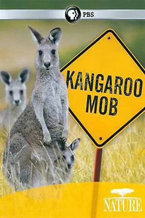 Kangaroo Mob poster