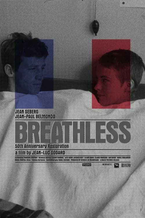 Godard Made in USA poster