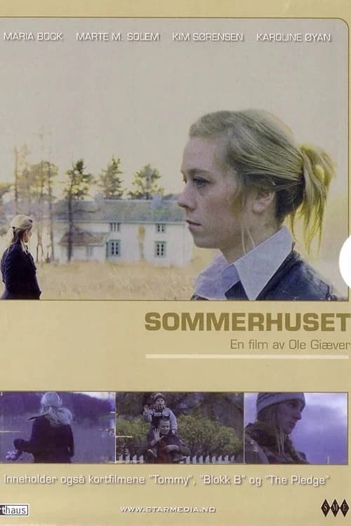 Summers Past poster