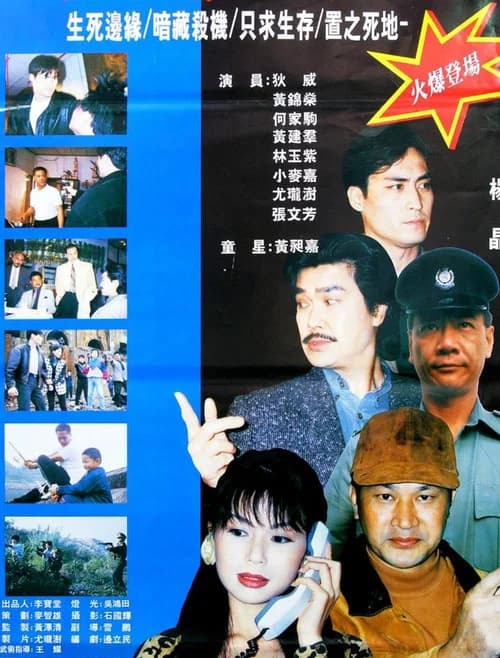 The First Professional Killer poster