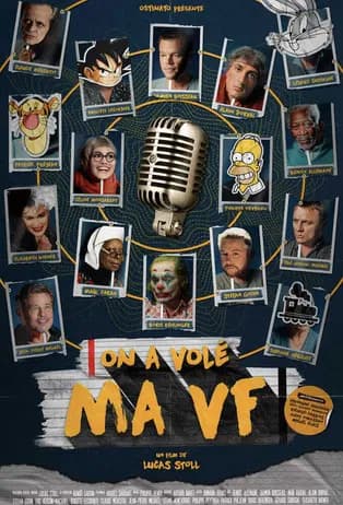 On a volé ma VF poster