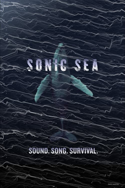 Sonic Sea poster