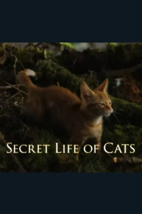 The Secret Life of Cats poster